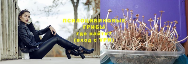 ALPHA-PVP Аркадак